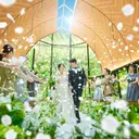 thumbnail_10782_1}