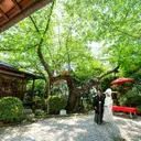 thumbnail_10873_3}