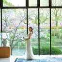 thumbnail_11076_0}