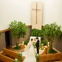 thumbnail_11749_0}