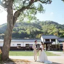 thumbnail_17185_2}