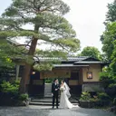 thumbnail_17530_1}