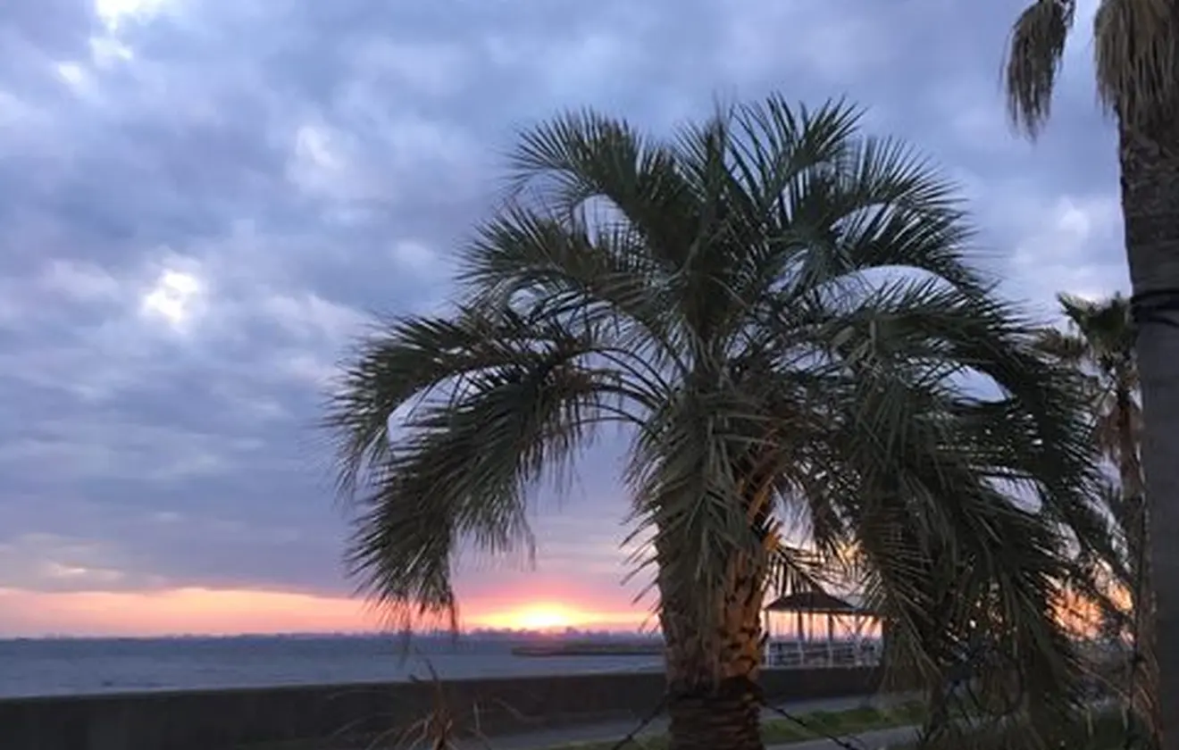 THE SURF OCEAN TERRACE