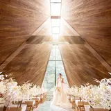 アーフェリーク白金