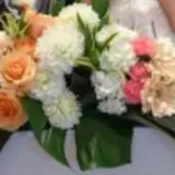 カーサフェリス