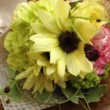 星野リゾート OMO7 旭川