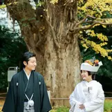 【結婚式当日】秋には樹齢４００年を超える銀杏の巨樹が綺麗に色づきます