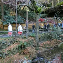 素晴らしい庭園