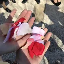 フラワーシャワー1