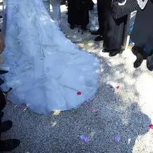 フラワーシャワー2