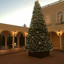 外観、冬なので大きいツリーが！