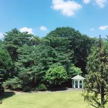 緑がとても綺麗でした