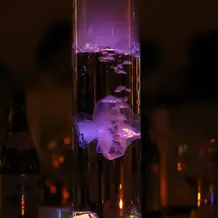 プラン内各テーブルキャンドル。