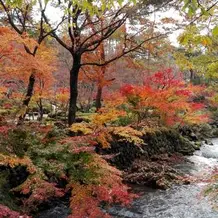 紅葉の時季の庭園５