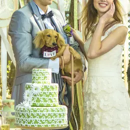 ディアズ水戸スパニッシュガーデン