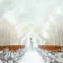 ニーズ名古屋丸の内 by T&G WEDDING