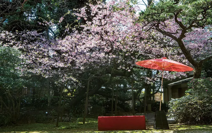 徳川慶喜公屋敷跡として明治時代から在る庭園。自然溢れる日本庭園の季節が皆さまを祝福します。