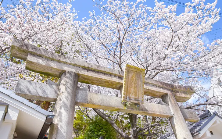豊かな自然に囲まれた境内では四季折々の風景も楽しめる