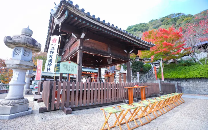 歴史ある拝殿で執り行うこころとこころを繋ぐ儀式はふたりの門出にふさわしい