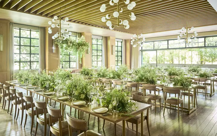 木目調で統一された、自然光がたっぷり降り注ぐ「MORI」