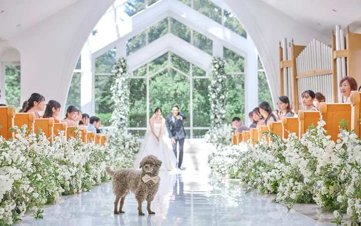 リングドッグも大人気！かわいい愛犬との挙式も叶う♪大切な家族の一員だからこそ、大切な1日を一緒に過ごそう。