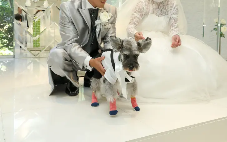 オリジナルの挙式もOK！ペットと一緒の挙式・お子さまと一緒の挙式・チャペル内での和装人前式も人気