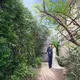 レストラン・ランス・ヤナギダテ
