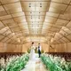 ニーズ名駅 by T&G WEDDING(旧インフィニート名古屋)