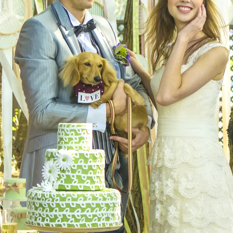 ディアズ水戸スパニッシュガーデンのメインビジュアル2