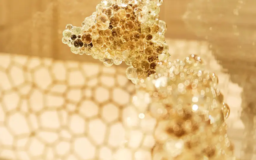 ステラ・デル・アンジェロの選ばれる理由