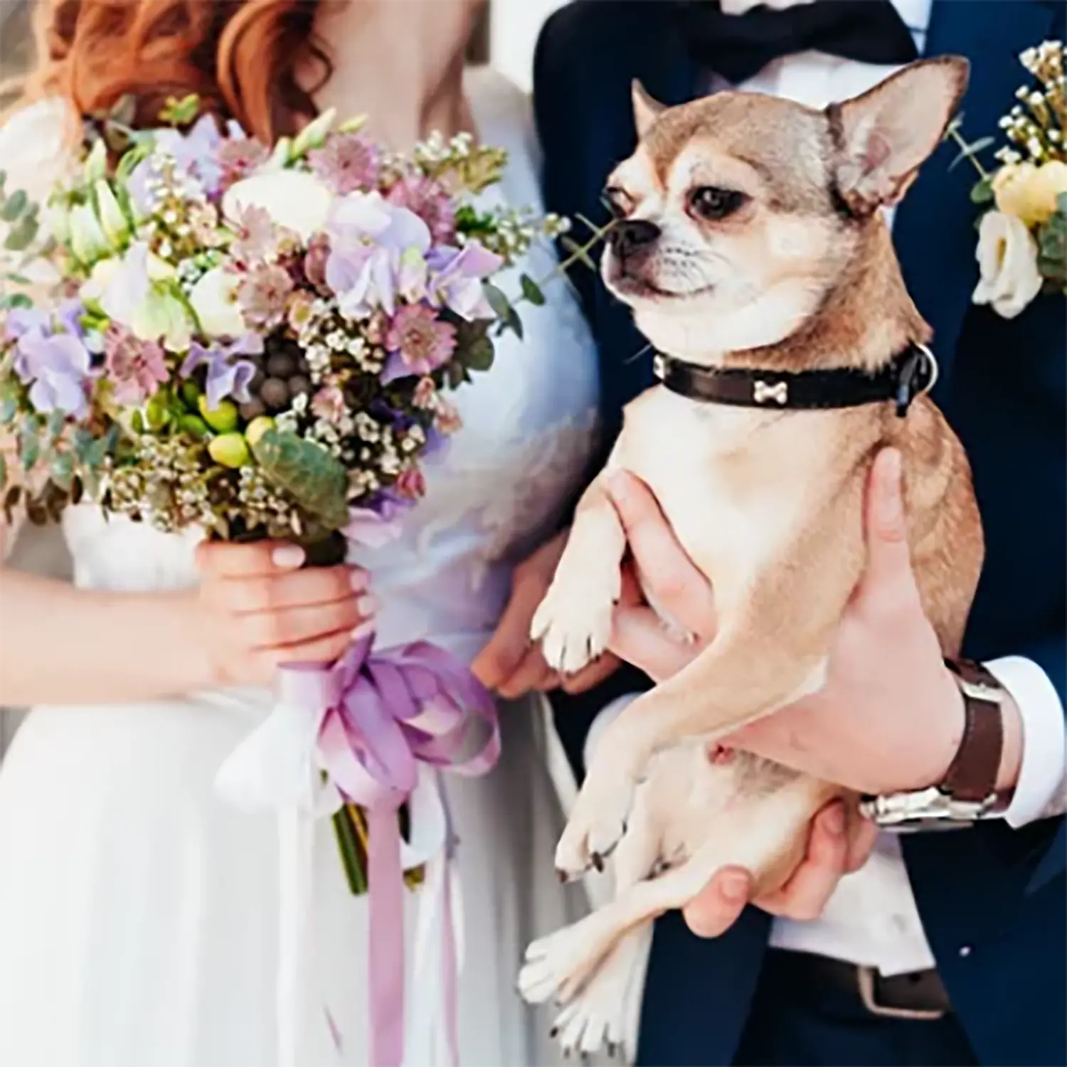 愛犬のワンちゃんと一緒に結婚式をしよう♪