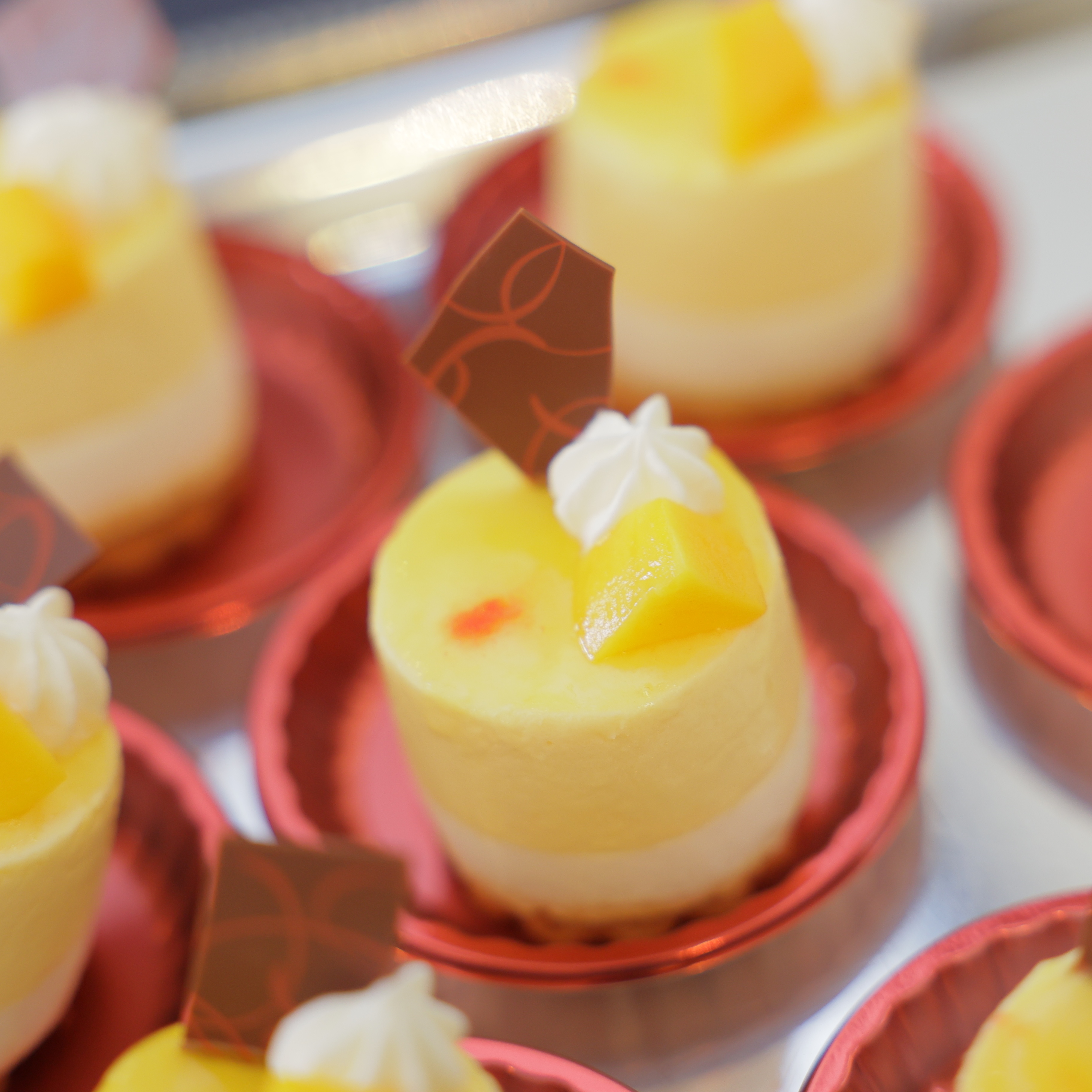 プレミアなフェスタ開催！当館で人気のデザートビュッフェを楽しめます♪相談＆見学＆見積も一緒にOK