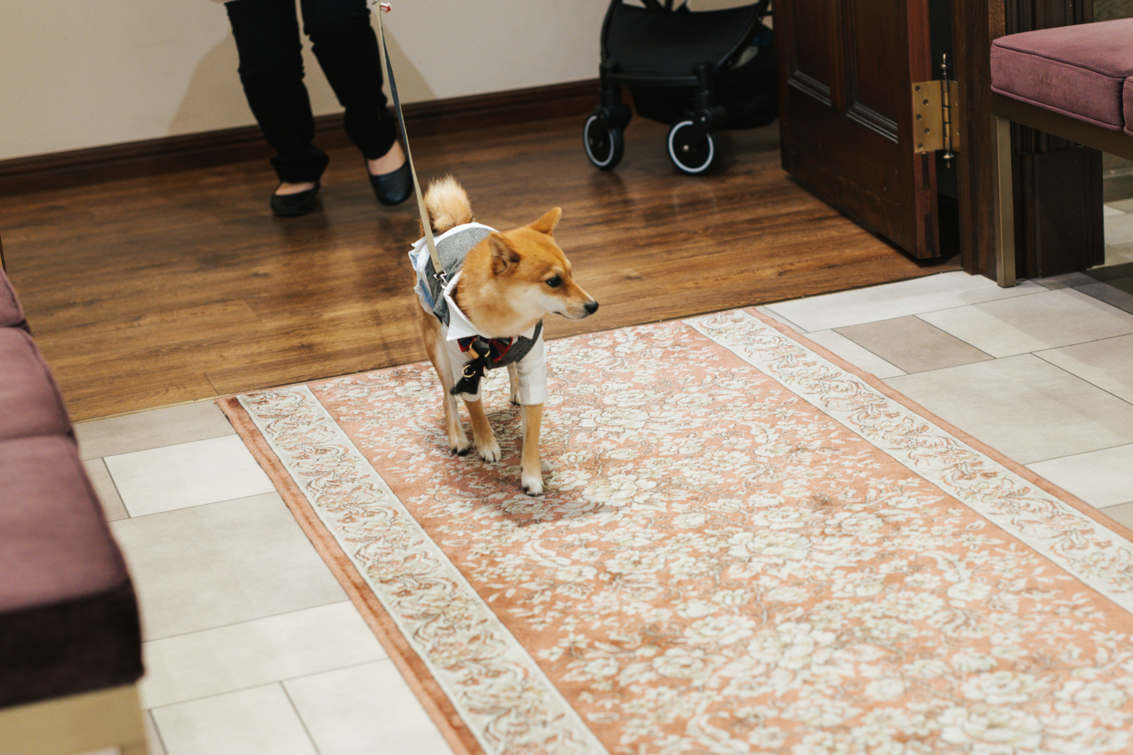 Anniversary.An EBISU