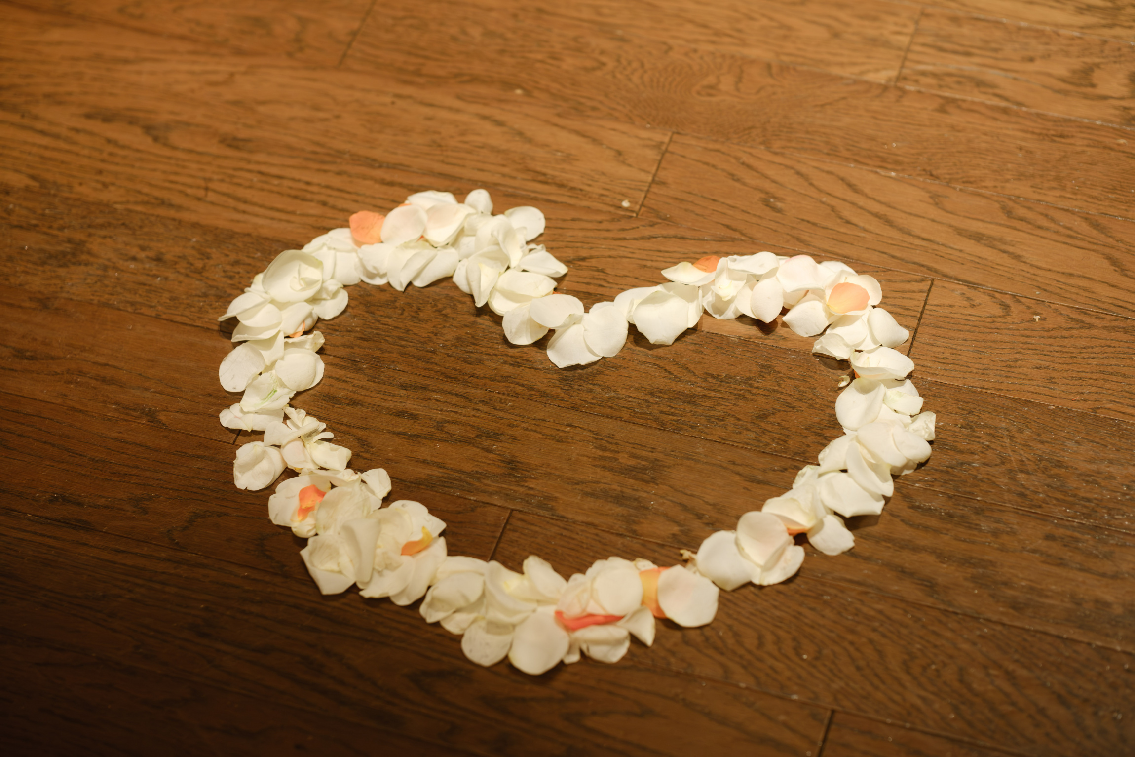 FORTUNE IN THE TERRACE