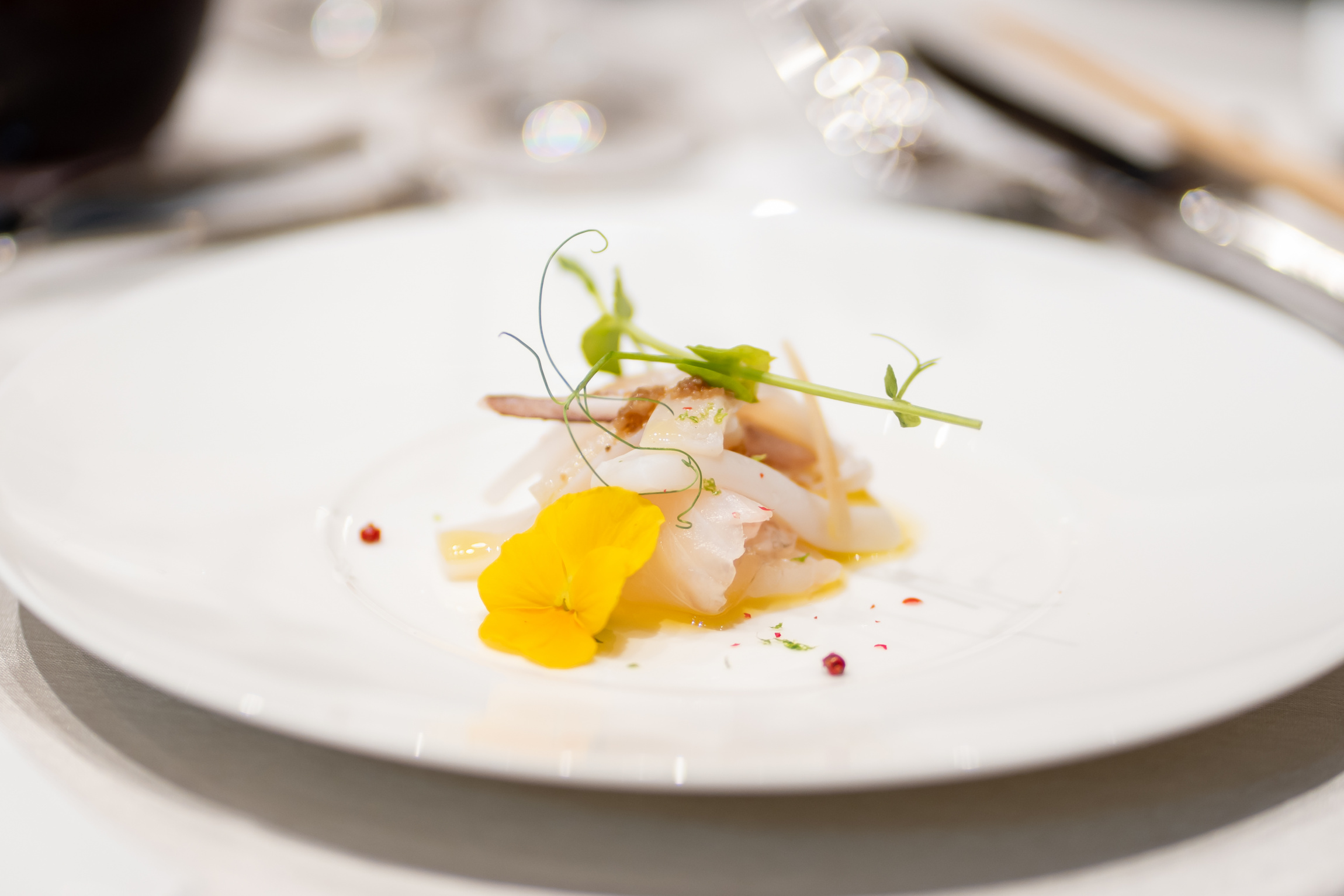 Central Terrace TOKYO