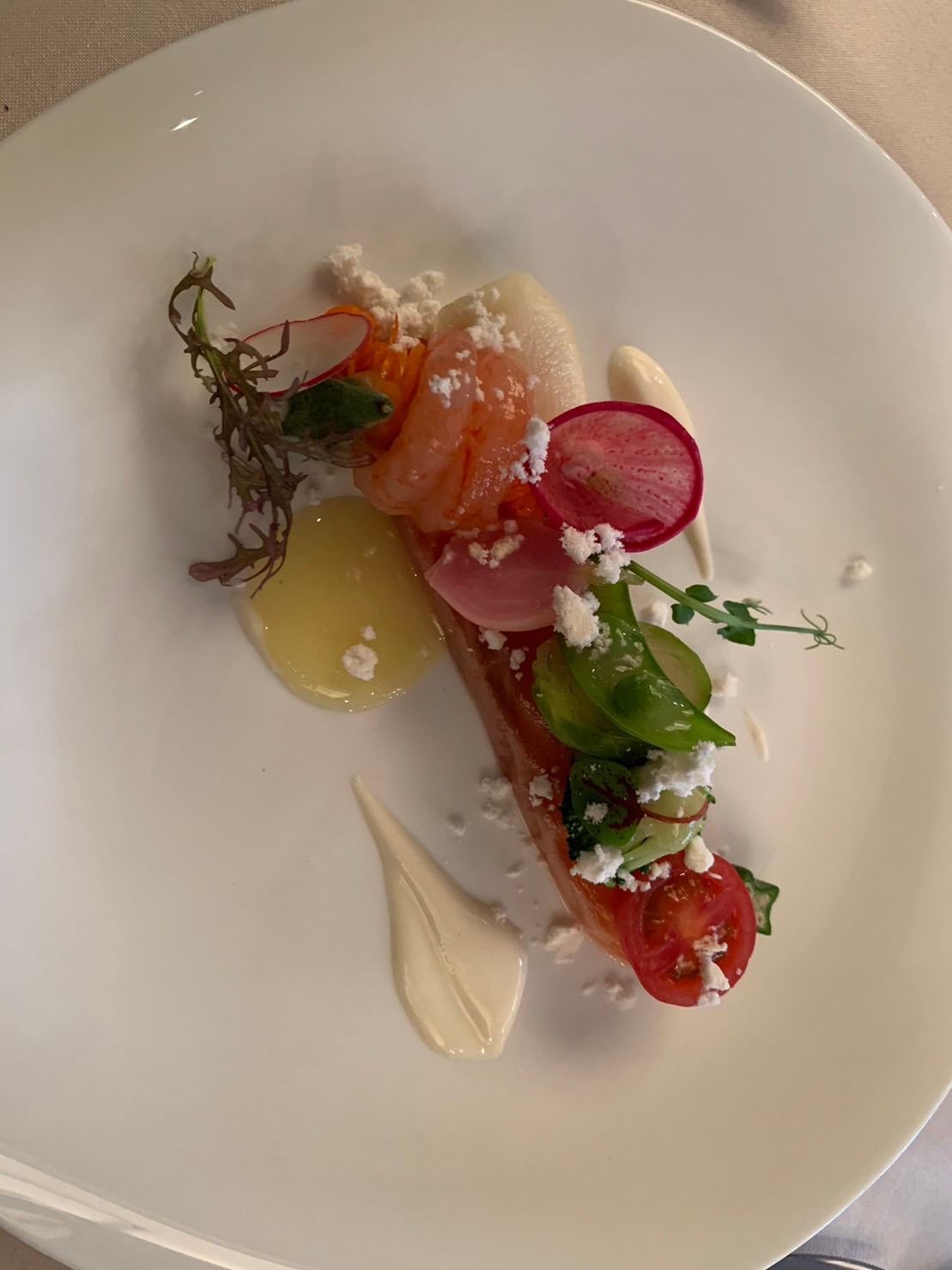 FORTUNE IN THE TERRACE