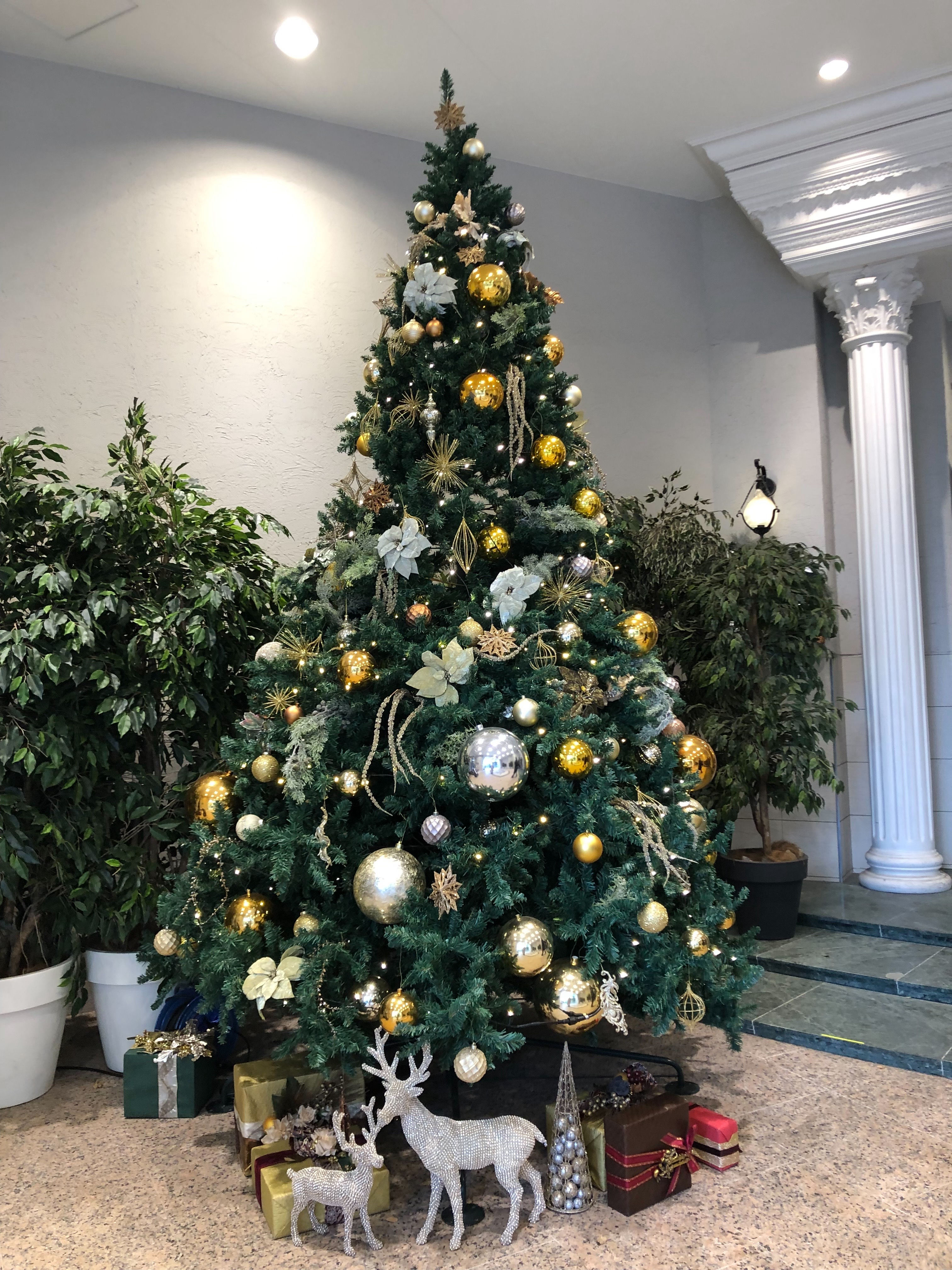 カサ・デ・アンジェラ青山(Casa d' Angela Aoyama)