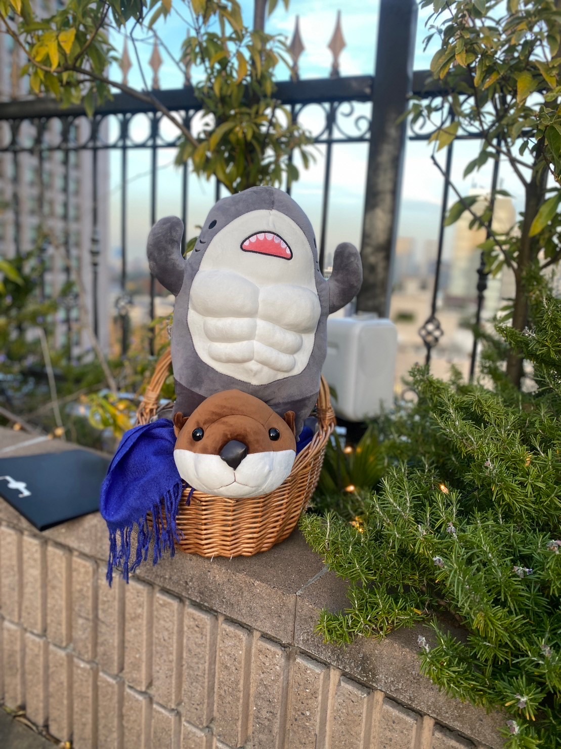 カサ・デ・アンジェラ青山(Casa d' Angela Aoyama)