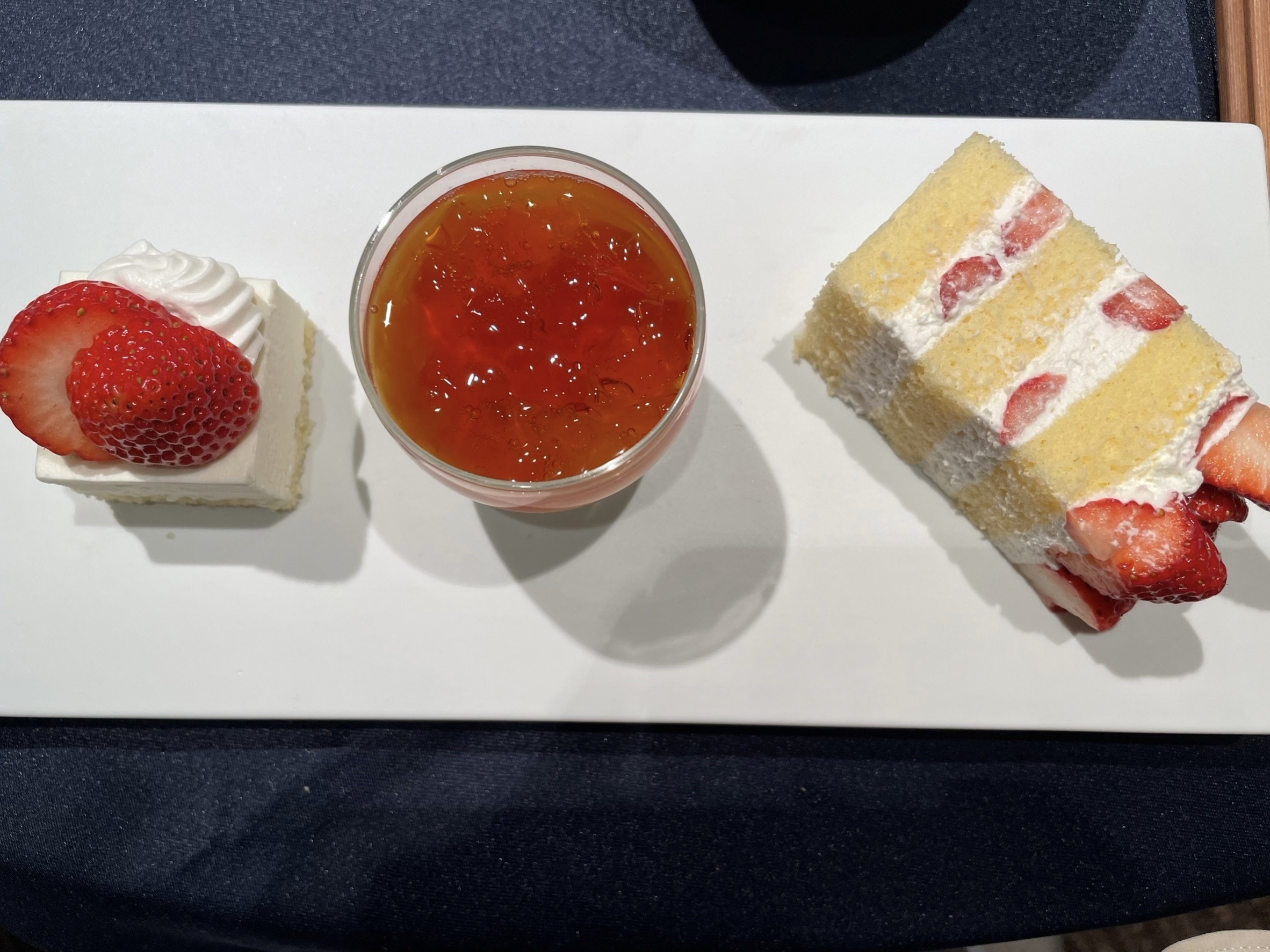 THE GARDEN PLACE SOSHUEN