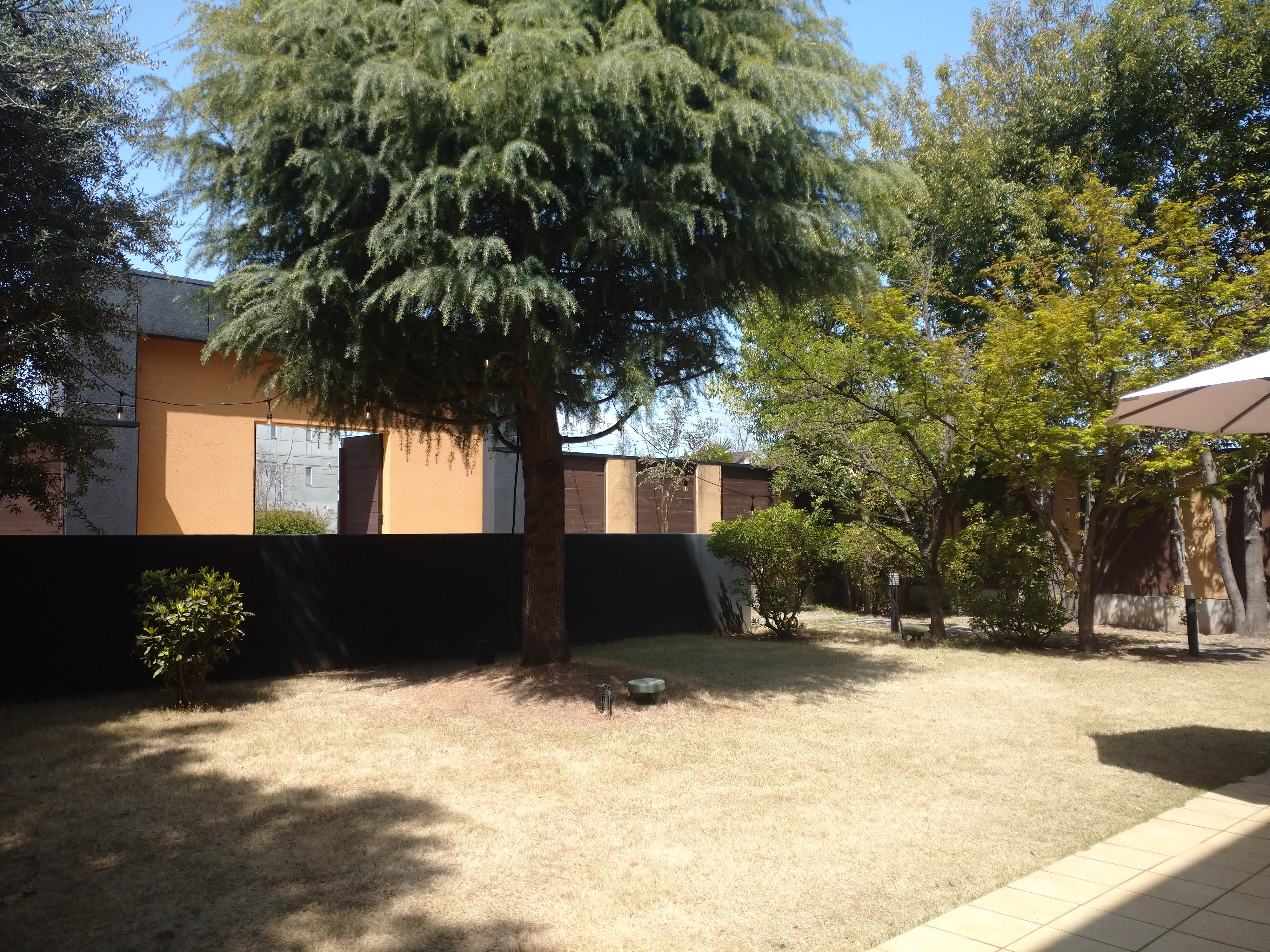 ウエディングレストラン ジュレ