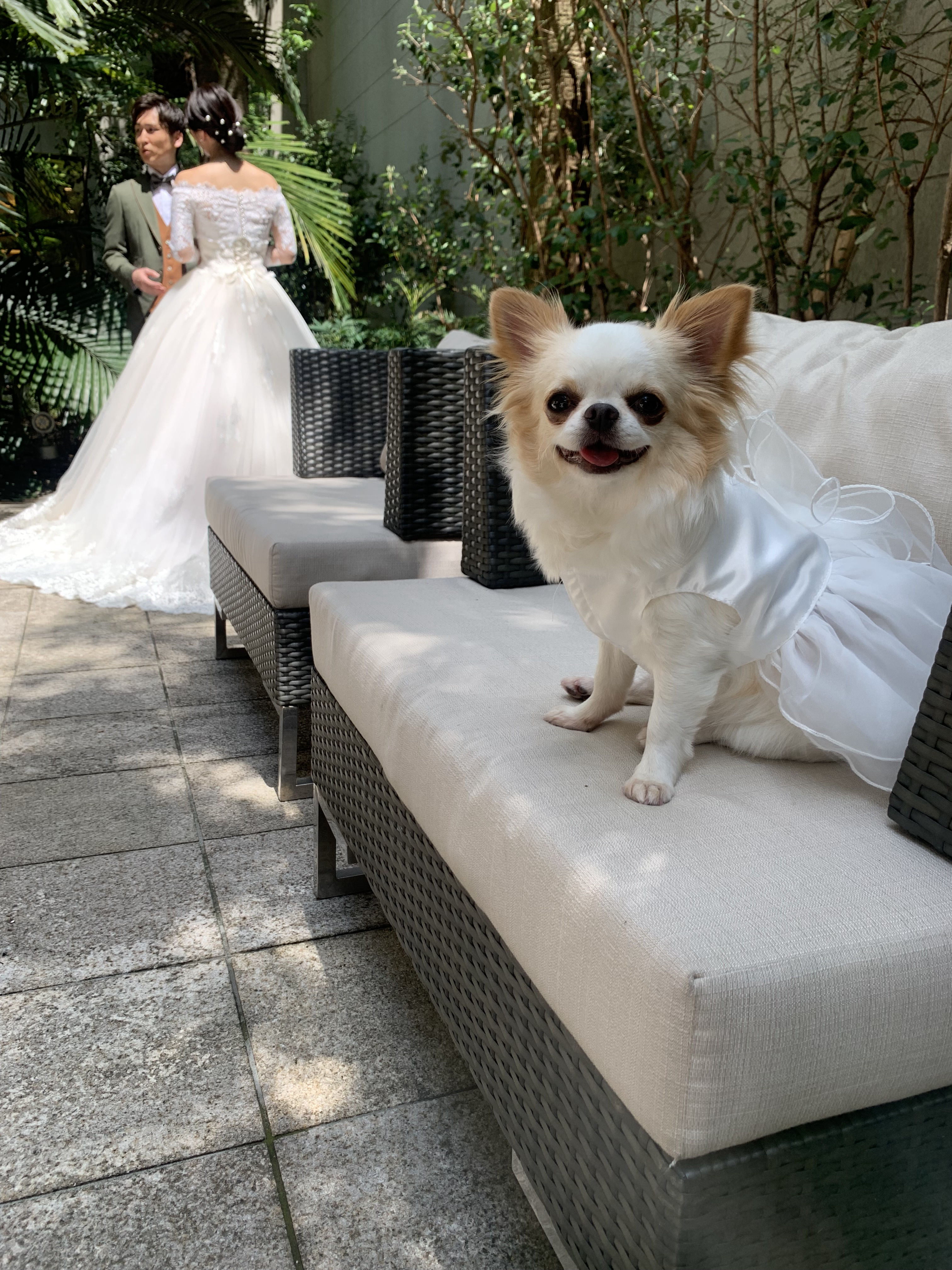 ル・センティフォーリア大阪