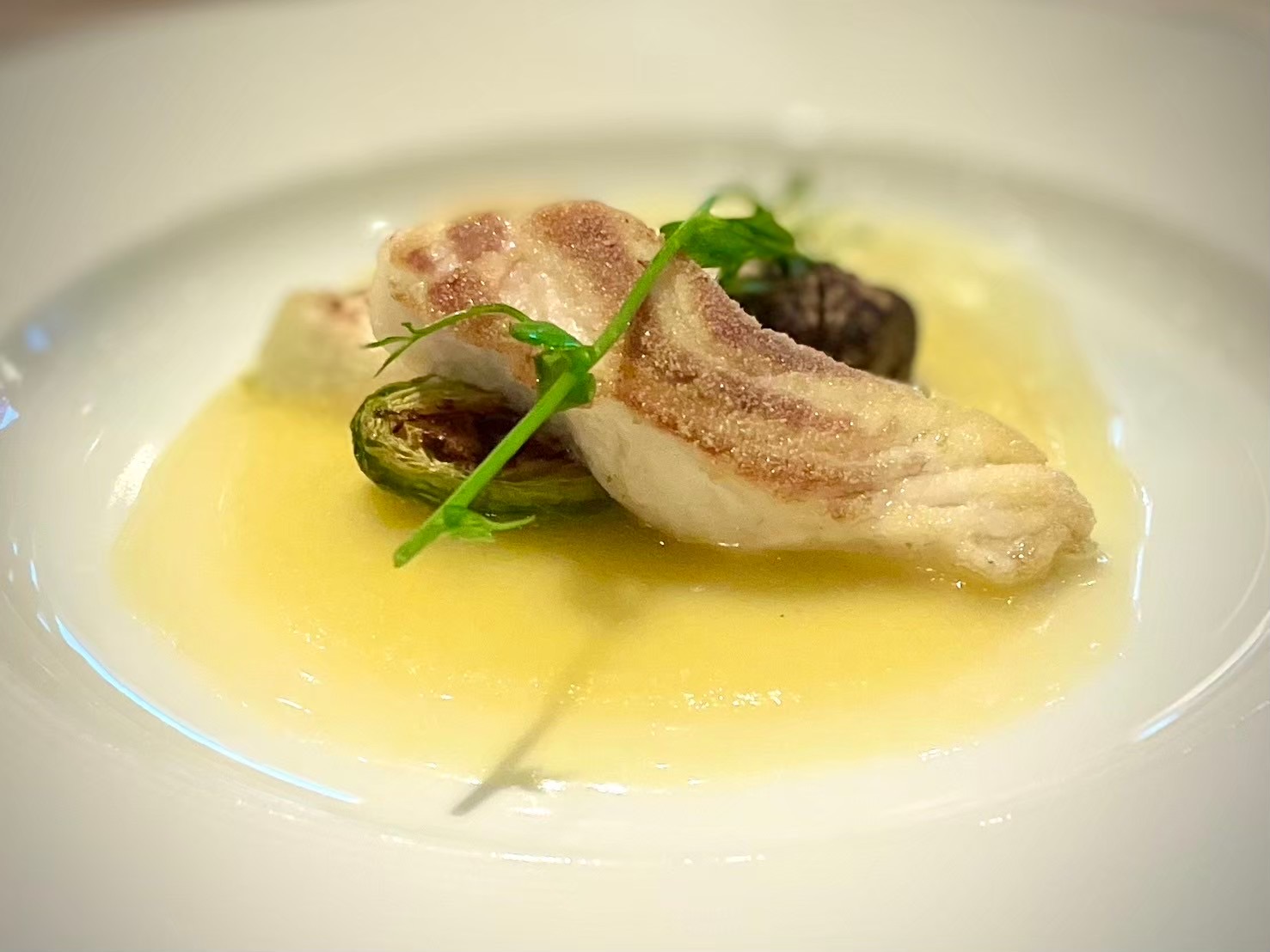 カノビアーノ福岡