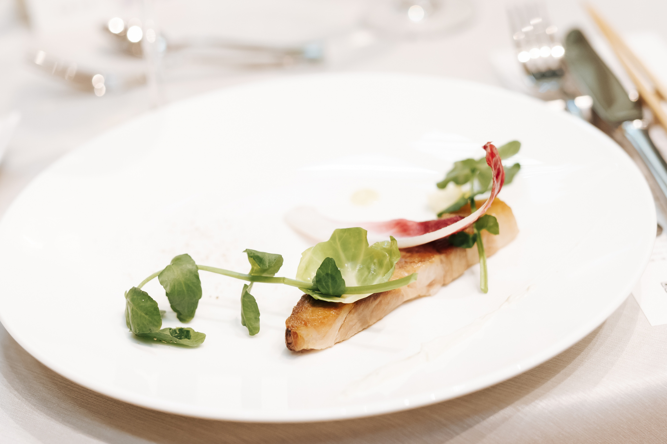 Central Terrace TOKYO