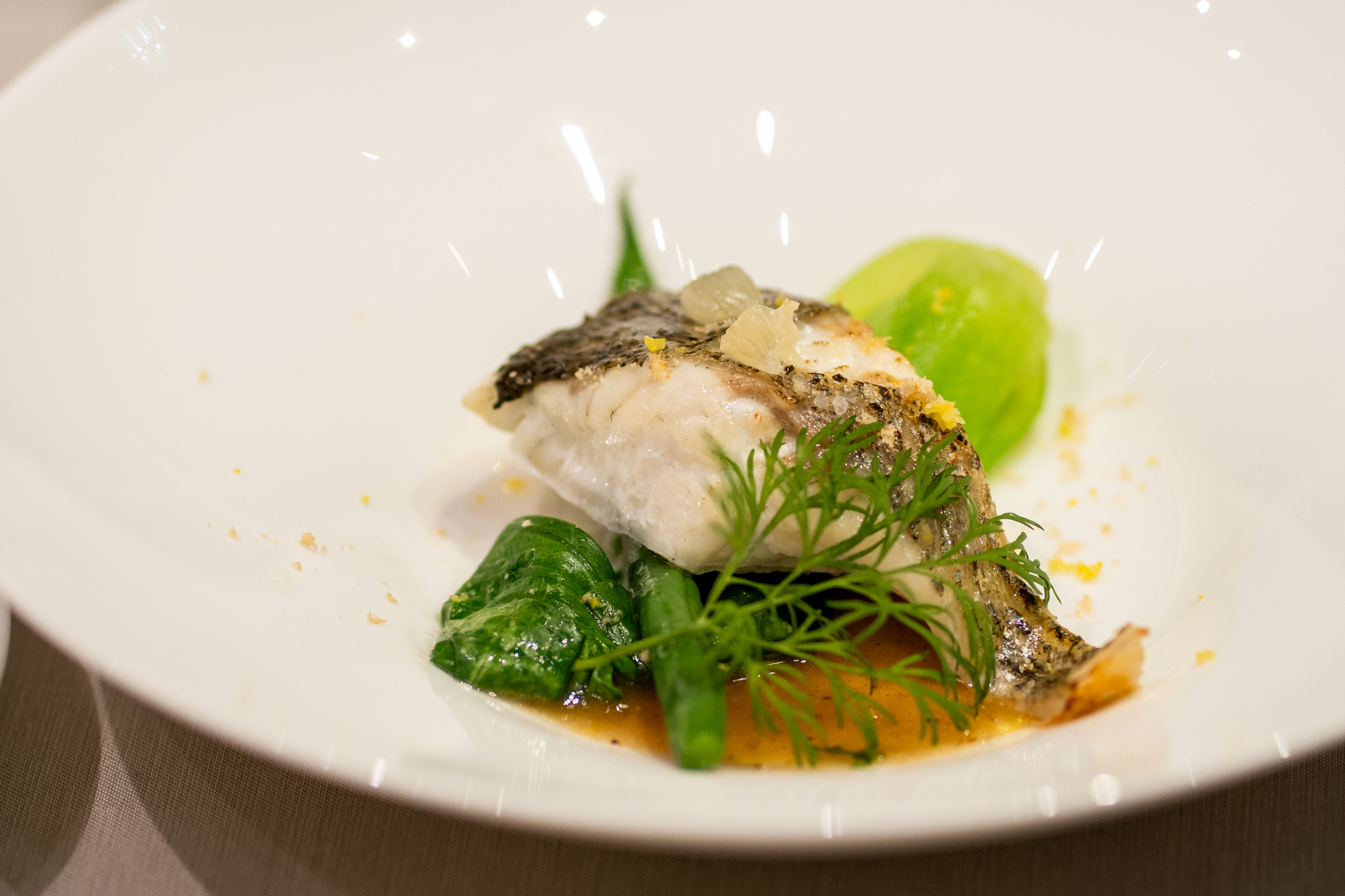 Central Terrace TOKYO