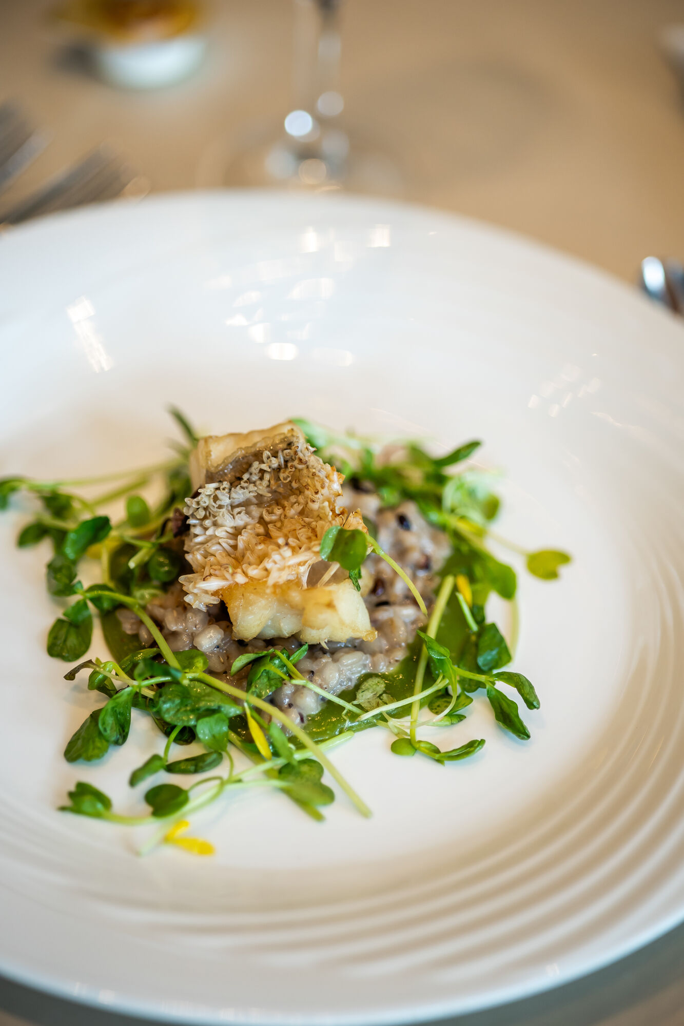 ザ・リーヴス プレミアムテラス