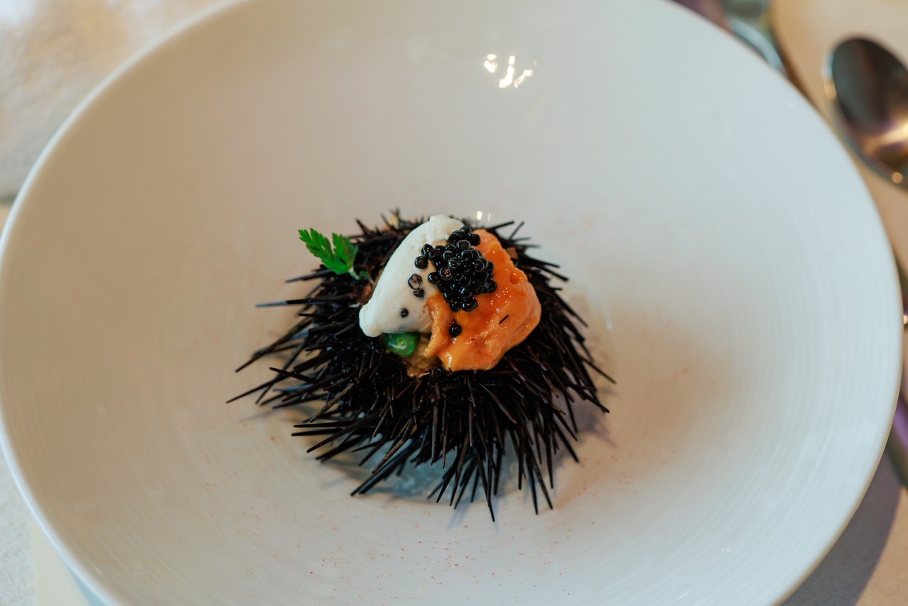 サンス・エ・サヴール