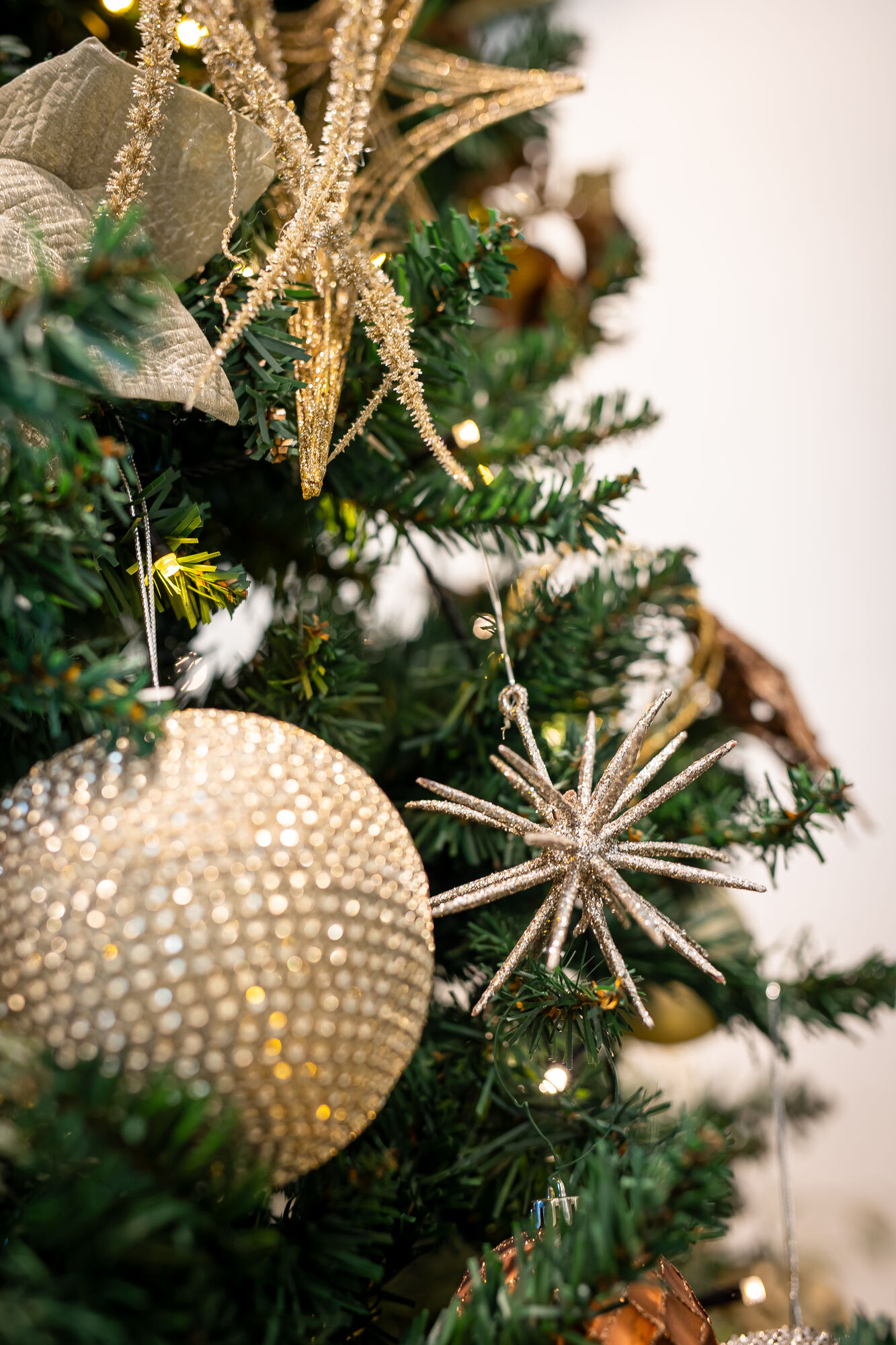 カサ・デ・アンジェラ青山(Casa d' Angela Aoyama)