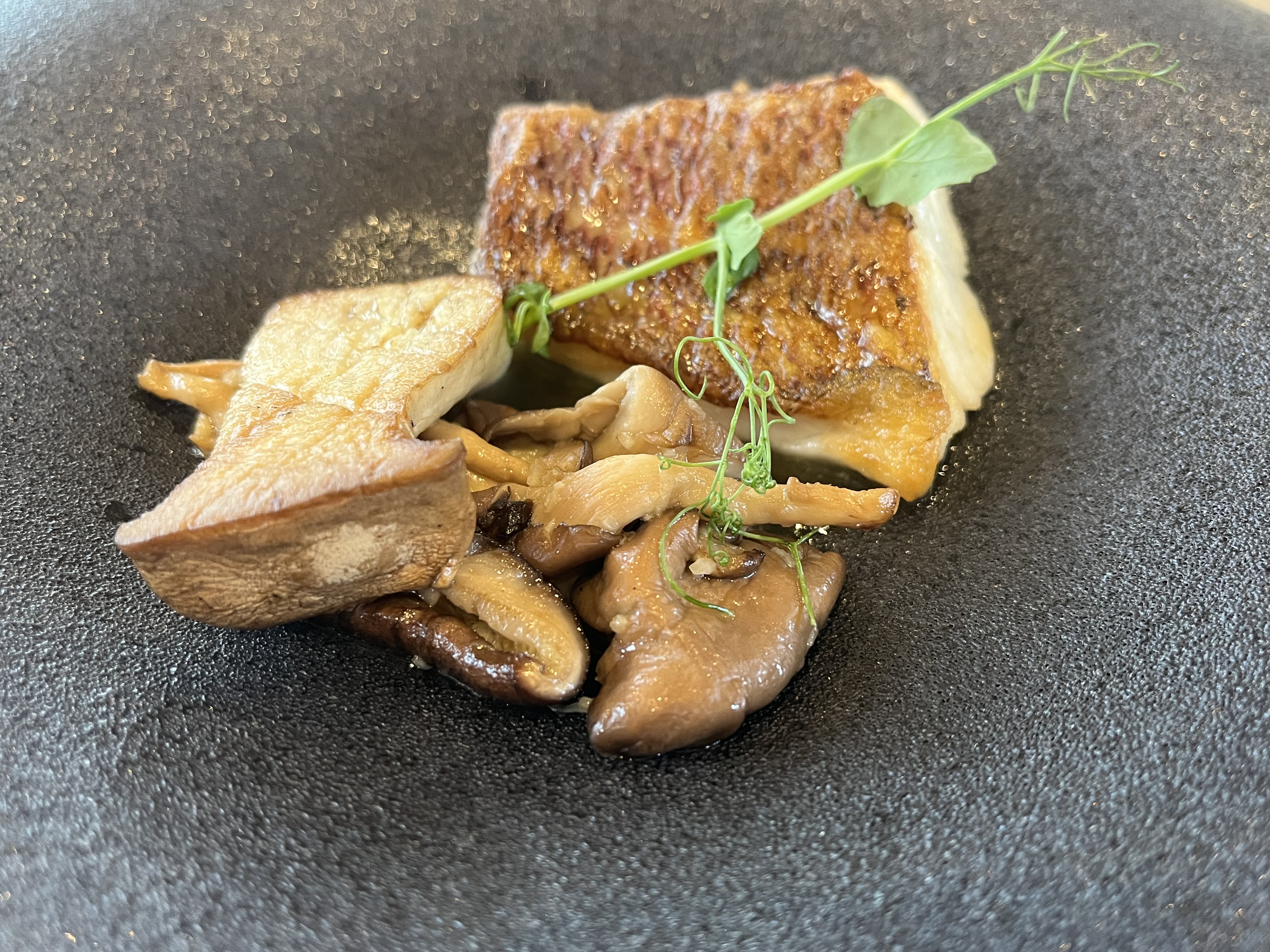 カサ・デ・アンジェラ馬車道(Casa d' Angela)