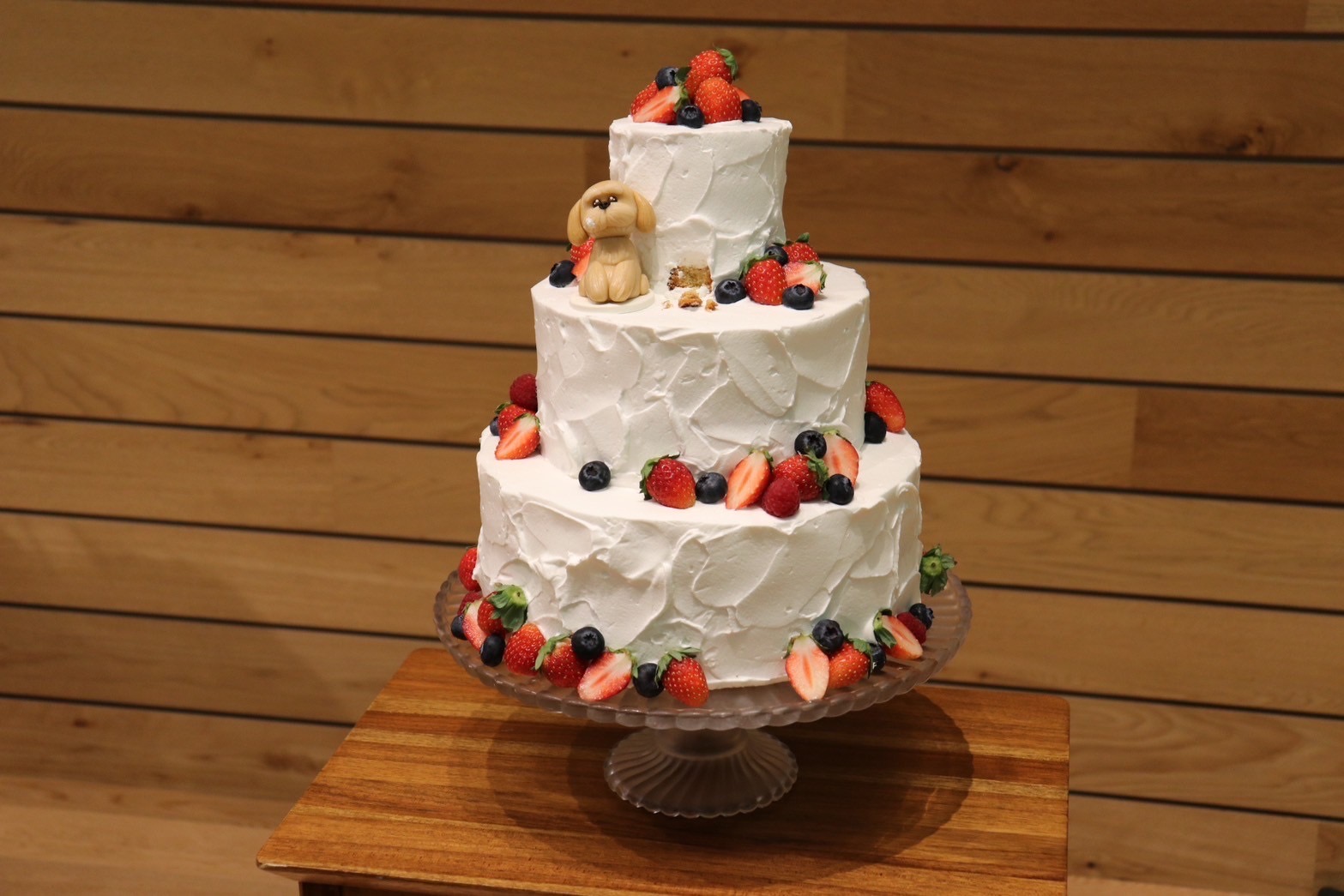 Central Terrace TOKYO