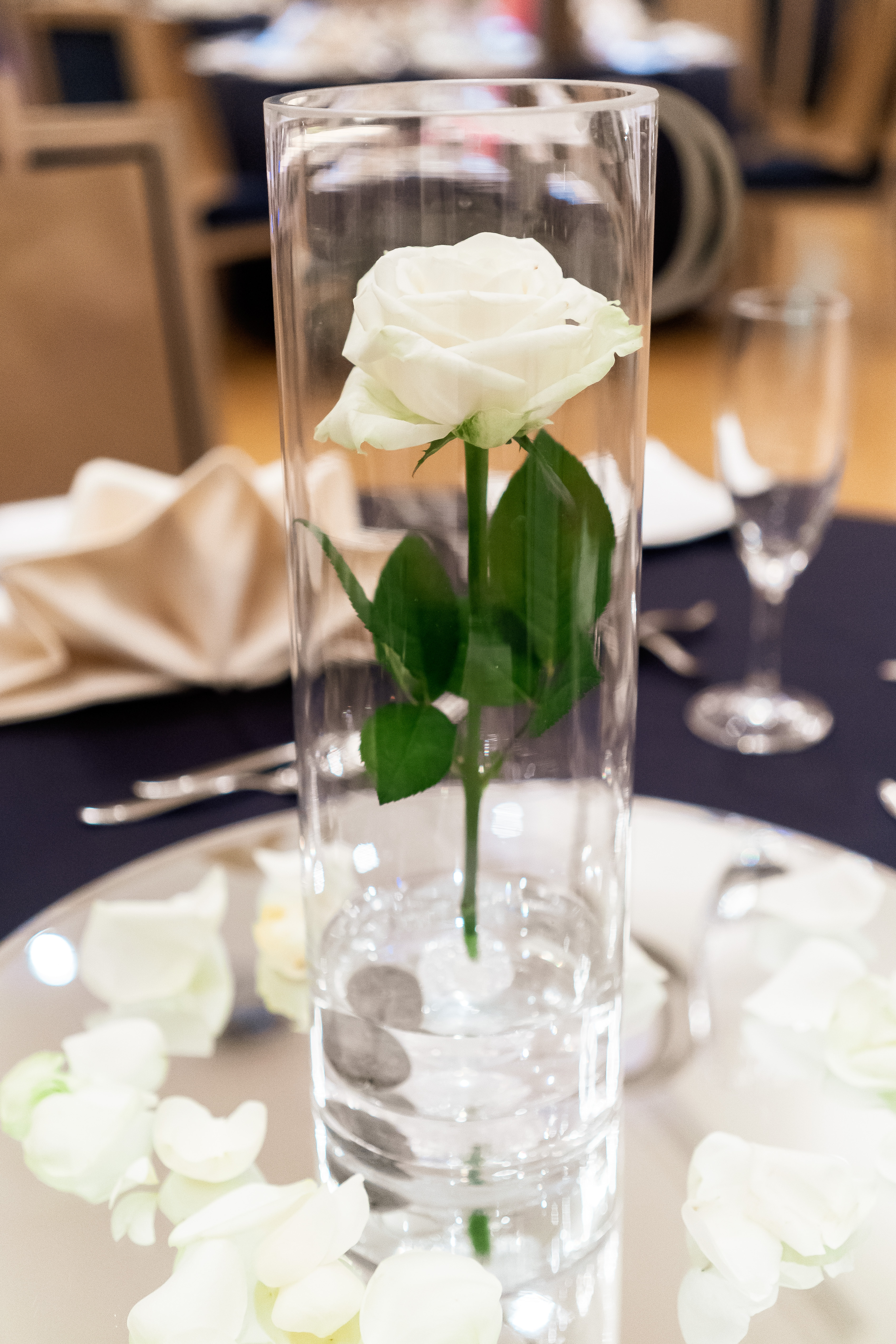 ディアステージつくばフォレストテラス